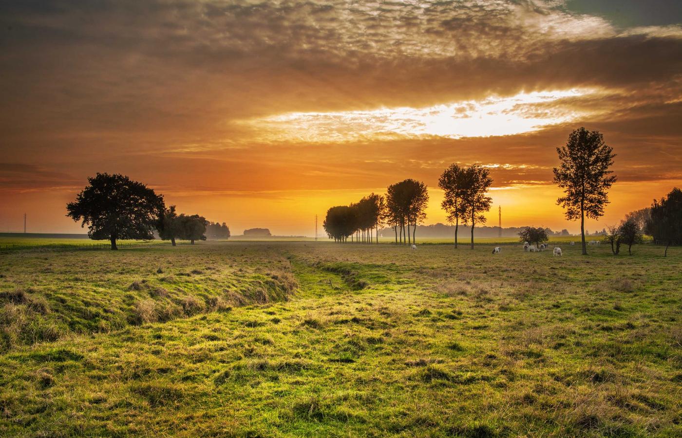 Портрет Елены Павловой
